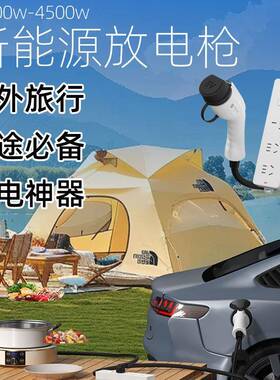 埃放电枪能源电站外安设取电户外露营76481电源反向供电新国备标