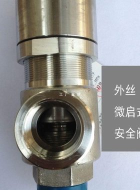 阀A21W-16P A21F-40P弹簧微启式外螺纹泄压阀4分A21H-16C