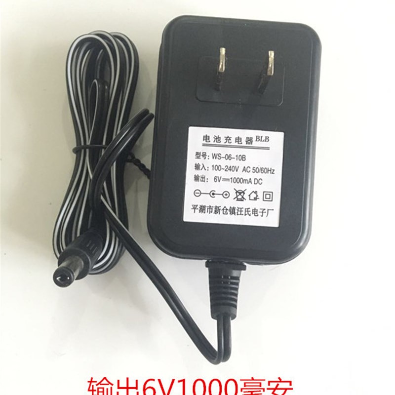 汪氏WS-06-10B儿童四轮遥控电动车充电器6v1000mA小孩童车玩具