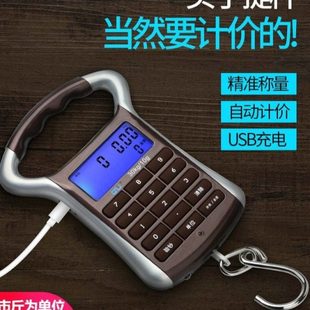 充电计价秤cnw电子秤手提秤快递秤钓鱼称家用弹簧秤买菜秤卖泉滋