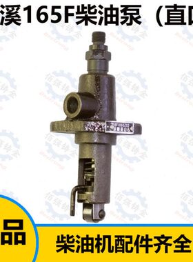 慈溪 三环 余姚单缸风冷柴油机配件 165F/170F柴/喷油泵/柱塞总成