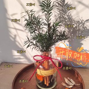 肉桂生财玻璃瓶摆件事业成功办公室桌面装饰摆件升职加薪摆件礼物