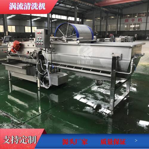 山东大型果蔬清洗设备  毛豆葡萄干清洗机 薯条薯片涡流清洗机