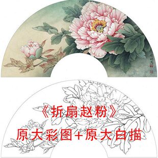工笔扇面牡丹花鸟白描底稿李晓明折扇赵粉线描实物打印稿881C