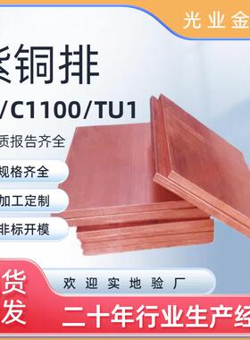 镀锡接地铜排铜FIB块t2紫铜1排紫C1定00异形模具电极导电铜条制加