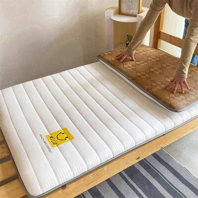 家用冬学夏双面床垫垫两冰藤席加厚用生宿舍凉席榻榻米软DZF褥子