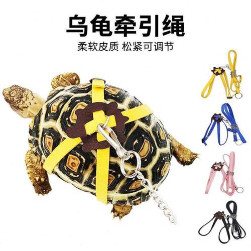 爬宠巴西乌龟豹纹陆龟外带外出牵引绳柔软皮革可调节背带溜龟绳子