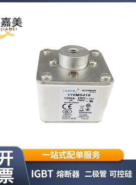 170M5418 170M5447 170M5448直流快速熔断器 电子元器件 库存充足