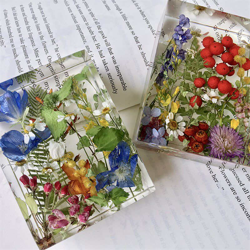 【花园镇纸】植物标本摆件树脂水晶干花节日礼物  尺寸:8x6x3cm
