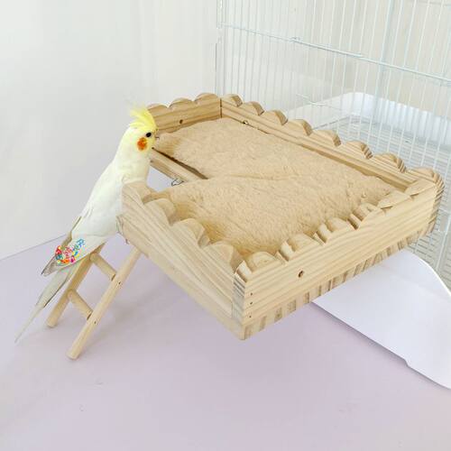 鹦鹉蜜袋鼯刺猬花枝鼠龙猫踏板实木平台站台台阶楼梯站板玩具