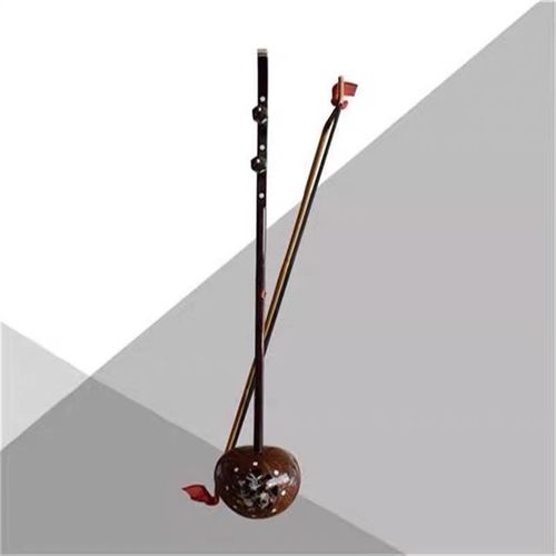 精制椰胡 潮州/潮汕/椰胡乐器/贝雕椰胡/广东椰胡 潮州乐器