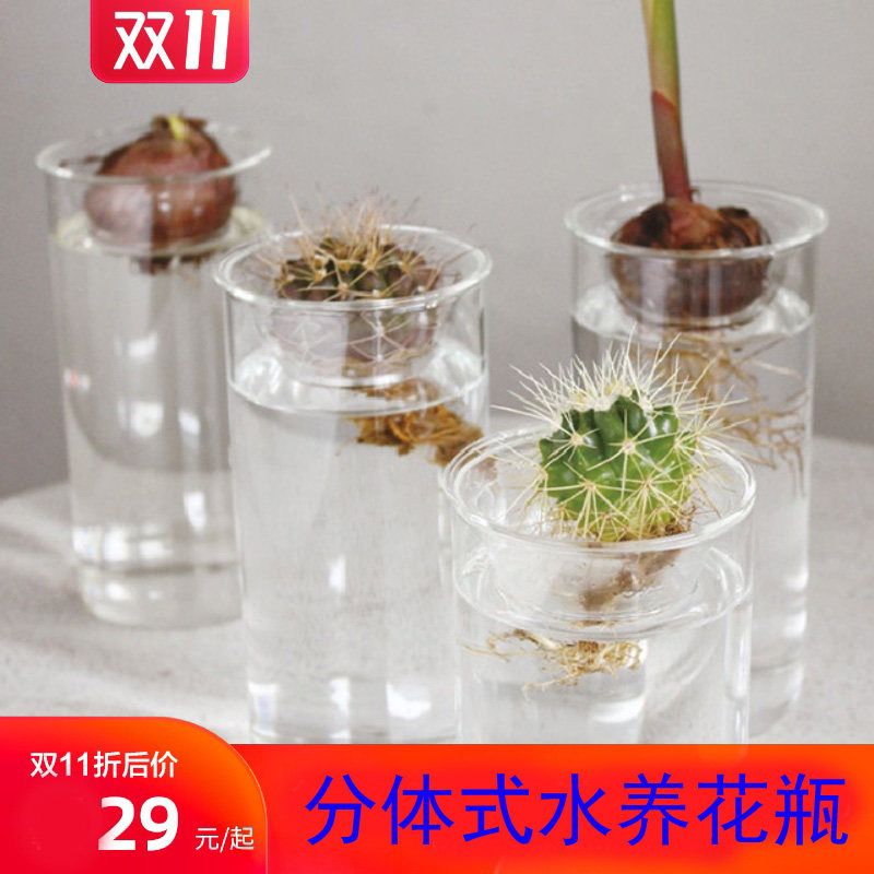 日式多肉植物水养玻璃花瓶绿萝水培绿植风信子插花器家居装饰摆件
