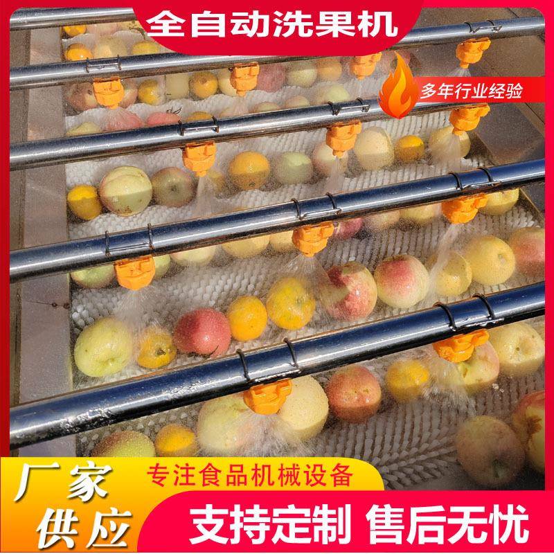 商用桃子毛刷清洗机青梅毛辊清洗机全自动洗果机果蔬清洗风干一体