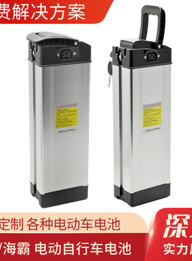 威力佳WELLO电动车锂电池48V10AH海霸银鱼款滑板车锂电池厂家