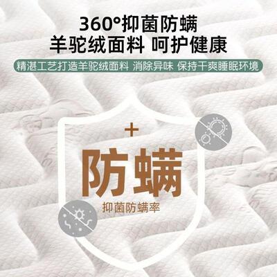 天然卧椰棕床垫卧室家用室护脊棕榈乳制儿胶AVY童环保棕垫定榻榻