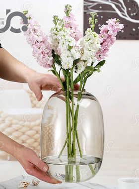 欧式简柳口厅玻璃花瓶小客水培雪约小手球百合玫瑰马醉木吊钟落地