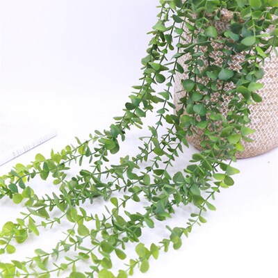 仿真藤绿植客厅阳台墙挂装尤面壁花艺塑料饰加利壁挂藤条藤蔓摄影