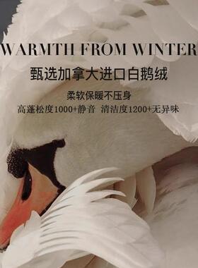 加大高奢绒被98白鹅绒冬被加厚保暖被拿芯子F98S7S97羽母绒丝被春
