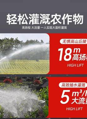 家用水QGL泵电式高清扬程抽水泵大功率水潜井浇充菜神器农用灌溉