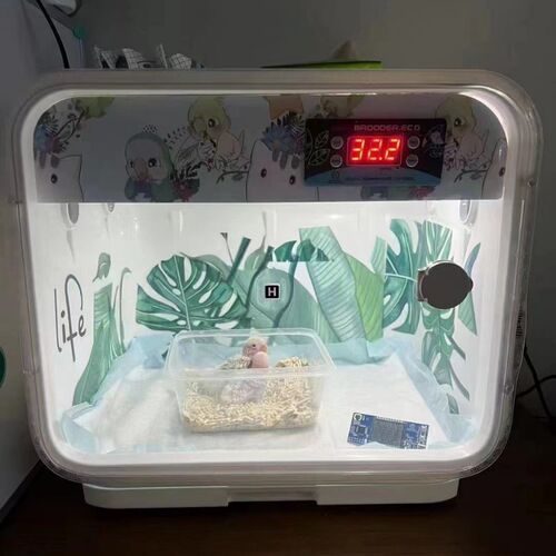 可携式玄凤牡丹育鹉幼鸟鹦雏保温箱小虎家用车载型皮暖风机恒温箱