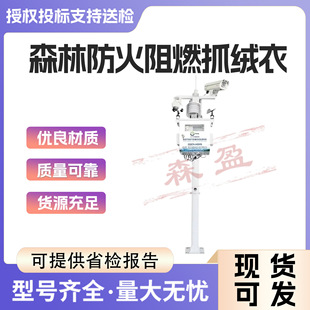 禁烧区视频实时监控秸秆焚烧火苗识别监测预警系统火点智能预警