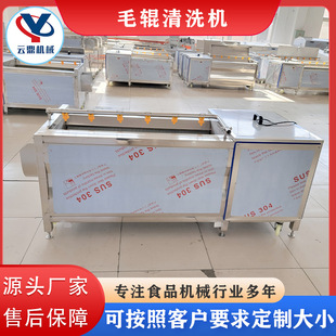 商用甜菜魔芋毛辊清洗机 鲜花生荠菜去泥不锈钢清洗设备 去皮清洗