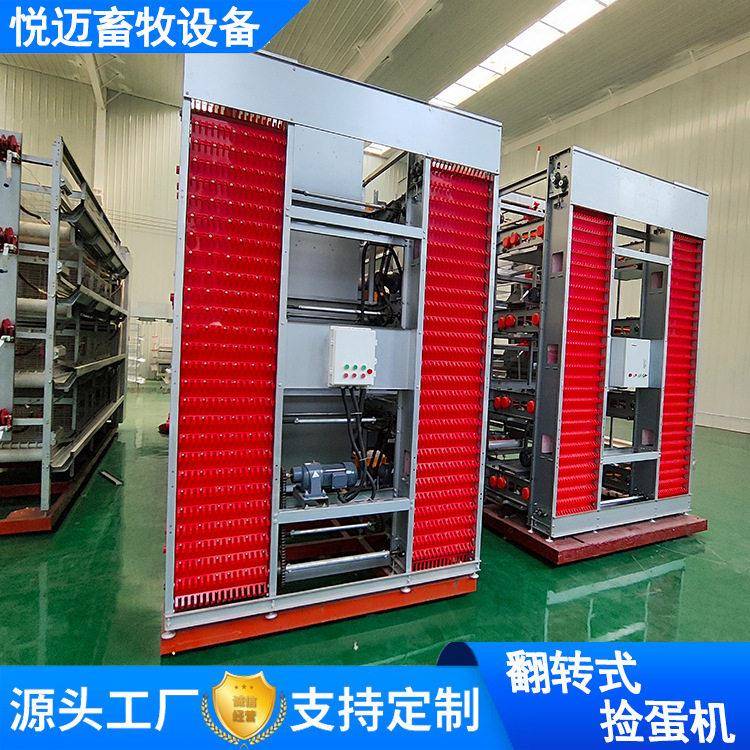 养鸡场自动捡蛋机养殖笼养鸡设备立式自动化三层蛋鸡笼多层鸡笼