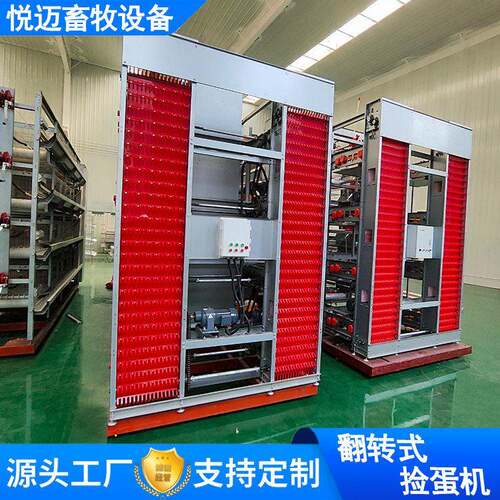 养鸡场自动捡蛋机养殖笼养鸡设备立式自动化三层蛋鸡笼多层鸡笼