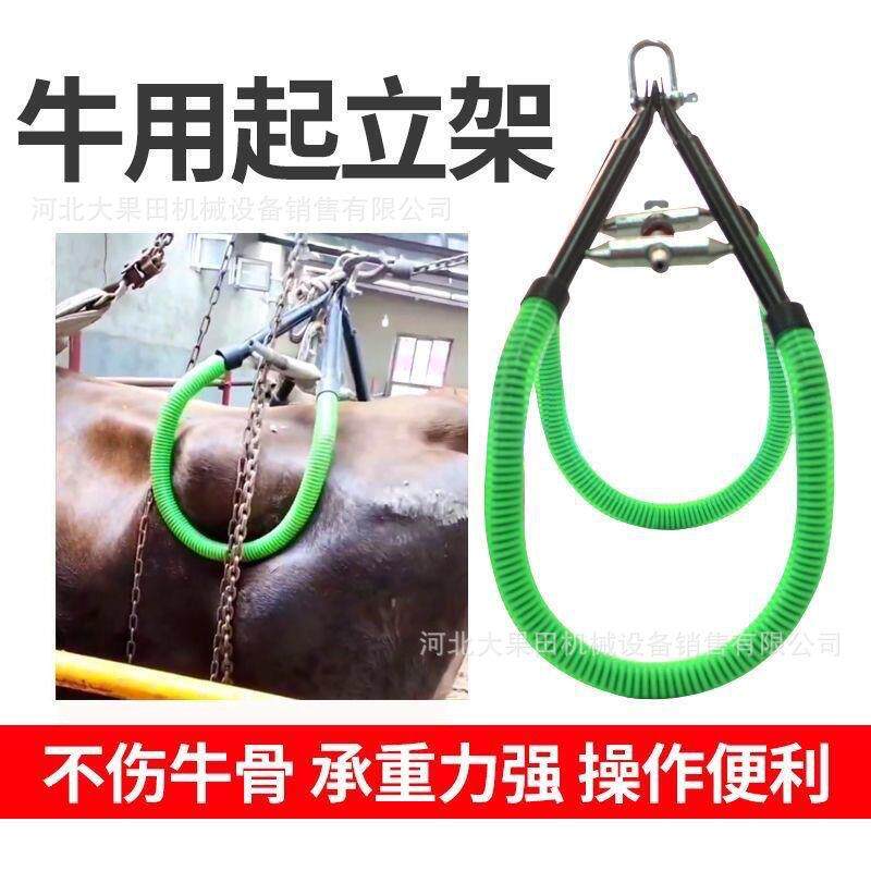 牛用立架出生小牛辅起助起站立HIQ加厚提刚牛器奶牛辅助立器加粗