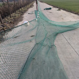 拉网渔网带兜鱼塘拖网拉鱼网清塘家用小J型拖鱼网抬网网箱隔断拦