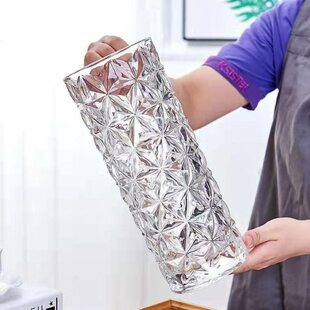 玻璃简约加厚花瓶玻璃透明水养富贵竹玫瑰百合干花插花摆件绿植花