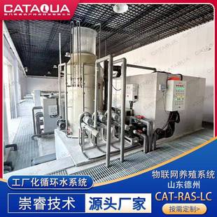 物联网循环水养殖系统鱼类在线水质监测源水尾水处理系统