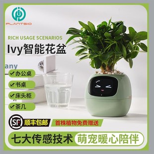 IVY智能小花盆情绪绿植摆件盆栽机器人创意生日礼品女神节礼物