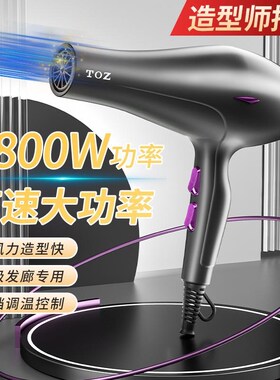 TOZ高速大风力吹风筒大功率发廊电吹风负离子恒温冷热电吹风机强