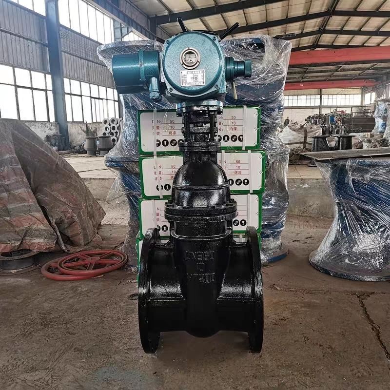 电动法兰闸阀Z941T-10铸铁电动楔式明杆铜芯法兰闸阀DN40-DN600