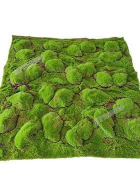 仿真苔藓草绿色人造青苔大鼓包草坪背景XH-XK01假墙绿植皮橱窗造