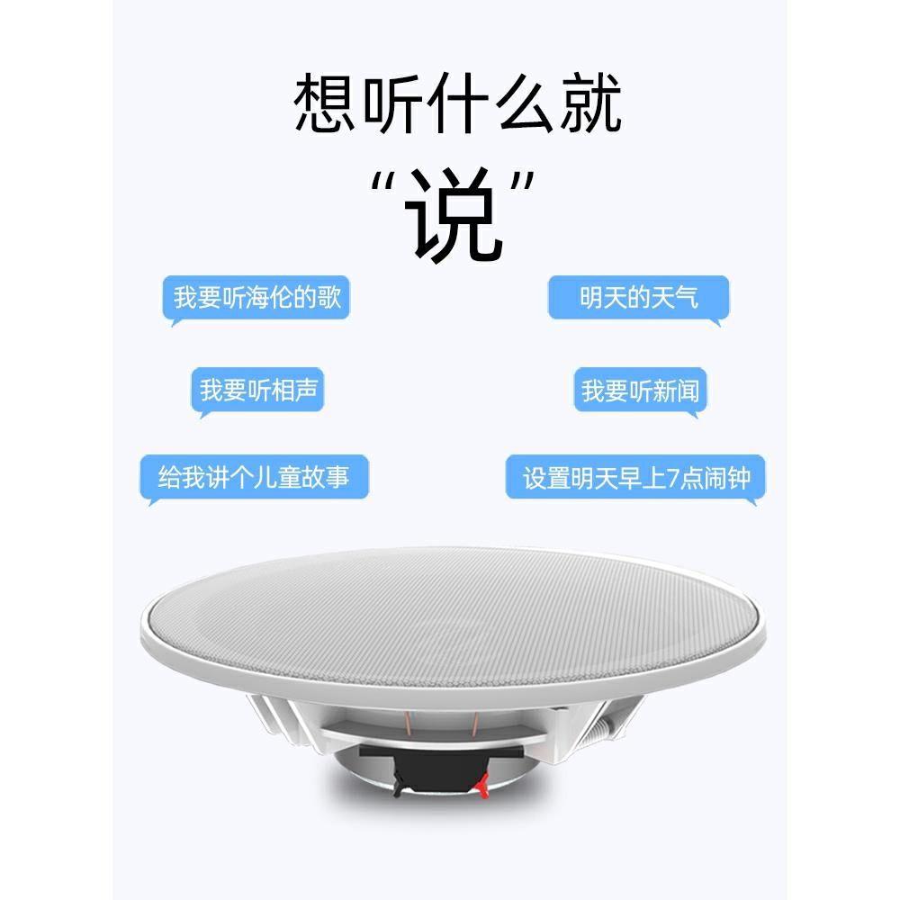 无线蓝牙WIFI家用吸顶音