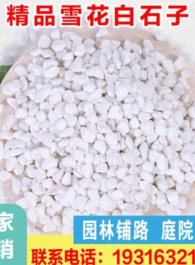 陕西白色小石子枯山水景观石子铺地小白石头黄色石子庭院造景白石