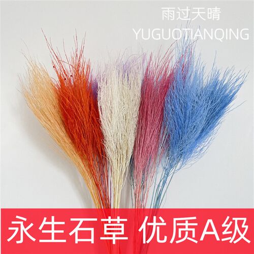 永生石草干花芦荀草石草永生花梦幻草家居软装花材婚礼布置手捧花