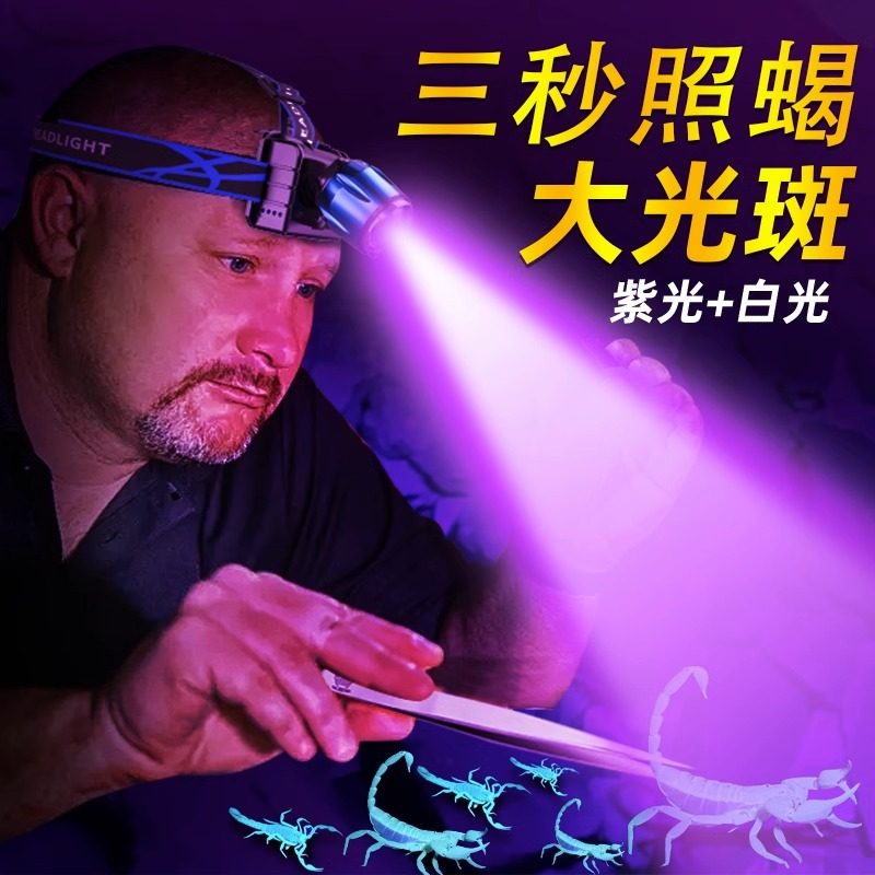 头戴式照蝎子专用灯座灯强光超亮充电夜钓钓鱼灯手电筒蝎子紫光灯