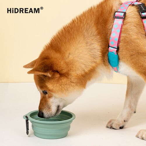 狗盆户外碗食盆狗狗碗猫咪水碗折叠碗便携式饭盆宠物用品