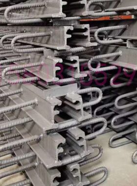 公路桥梁伸缩缝变形缝GQF-C40/D60/E80型160梳齿模数式型钢送胶条