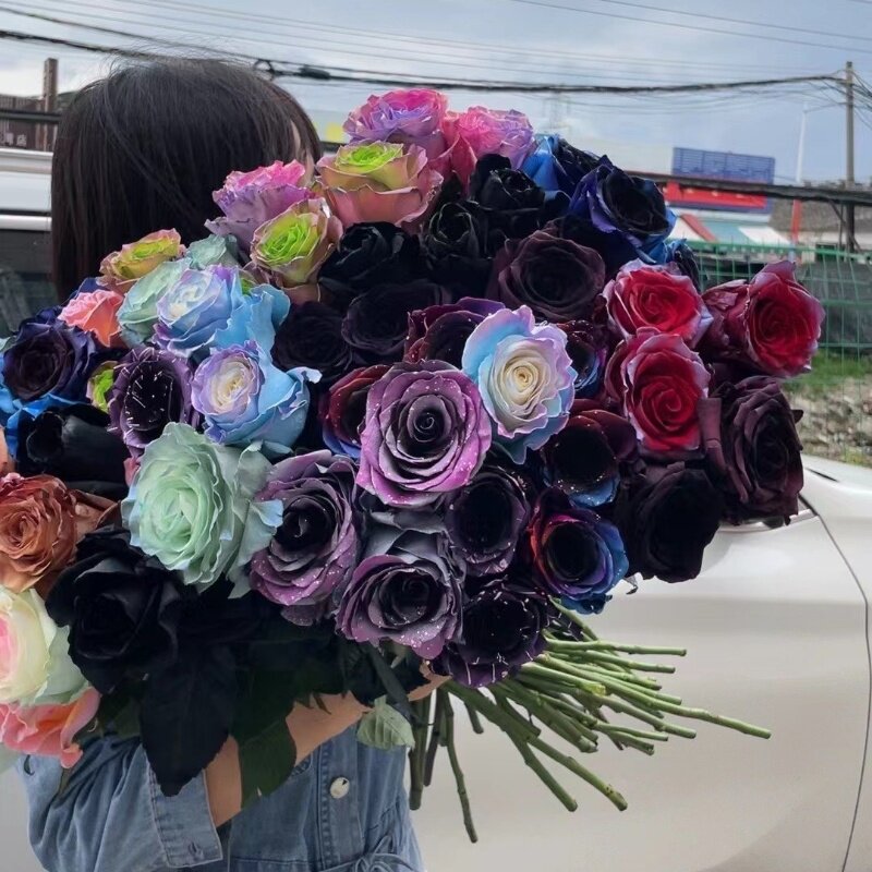 厄瓜多尔高端进口花材鲜花全国速递染色随机混搭混色玫瑰花10支