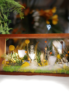 永生花植物中空立体相框真花实木双面玻璃亚克力画框摆件教师礼物