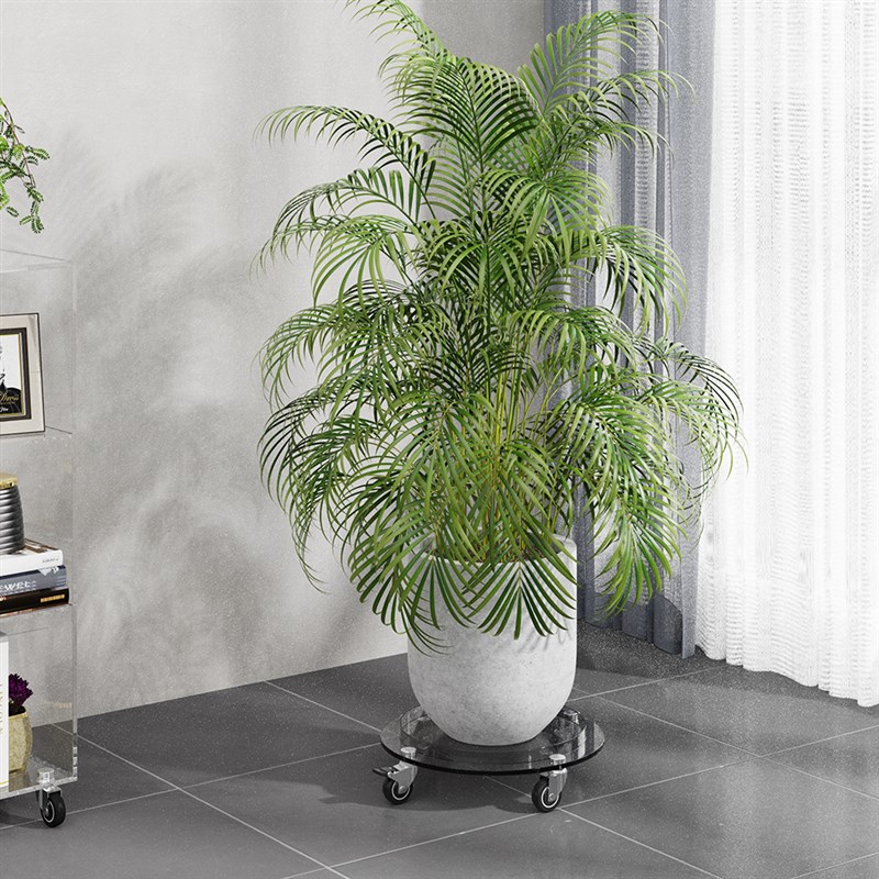 Oenlux高级黑花盆托盘底座室内阳台移动盆栽带轮亚克力托架接水盘