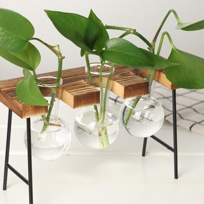 创意水培绿萝玻璃花瓶水养植物插花容器木架摆件简约台面装饰花器