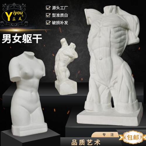 男躯干石膏像女躯干人物头像素描石膏像胸像写生美术石膏摆件