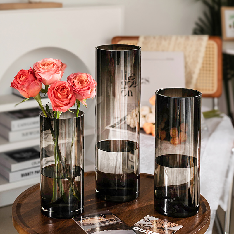 轻奢高级感玻璃花瓶客厅水养鲜花插花水培富贵竹R家用桌面落地摆