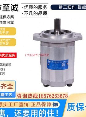 合肥长源齿轮泵CBTD-F432/426.5/F425/423/420/419.2/414-AFP/ALH