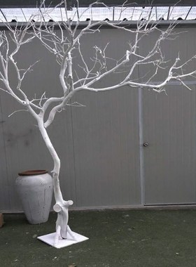 干树枝干枝树干白色许愿摆件枯树杆实木天然造型树假树仿真装饰树